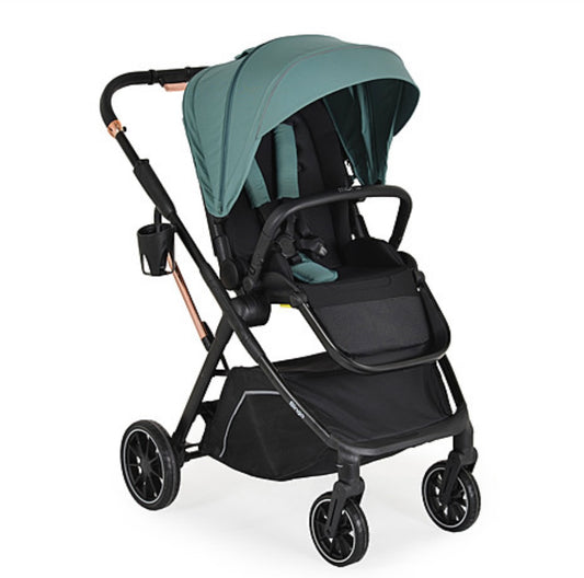 Passeggino leggero reversibile 0/22 kg verde con accessori moni