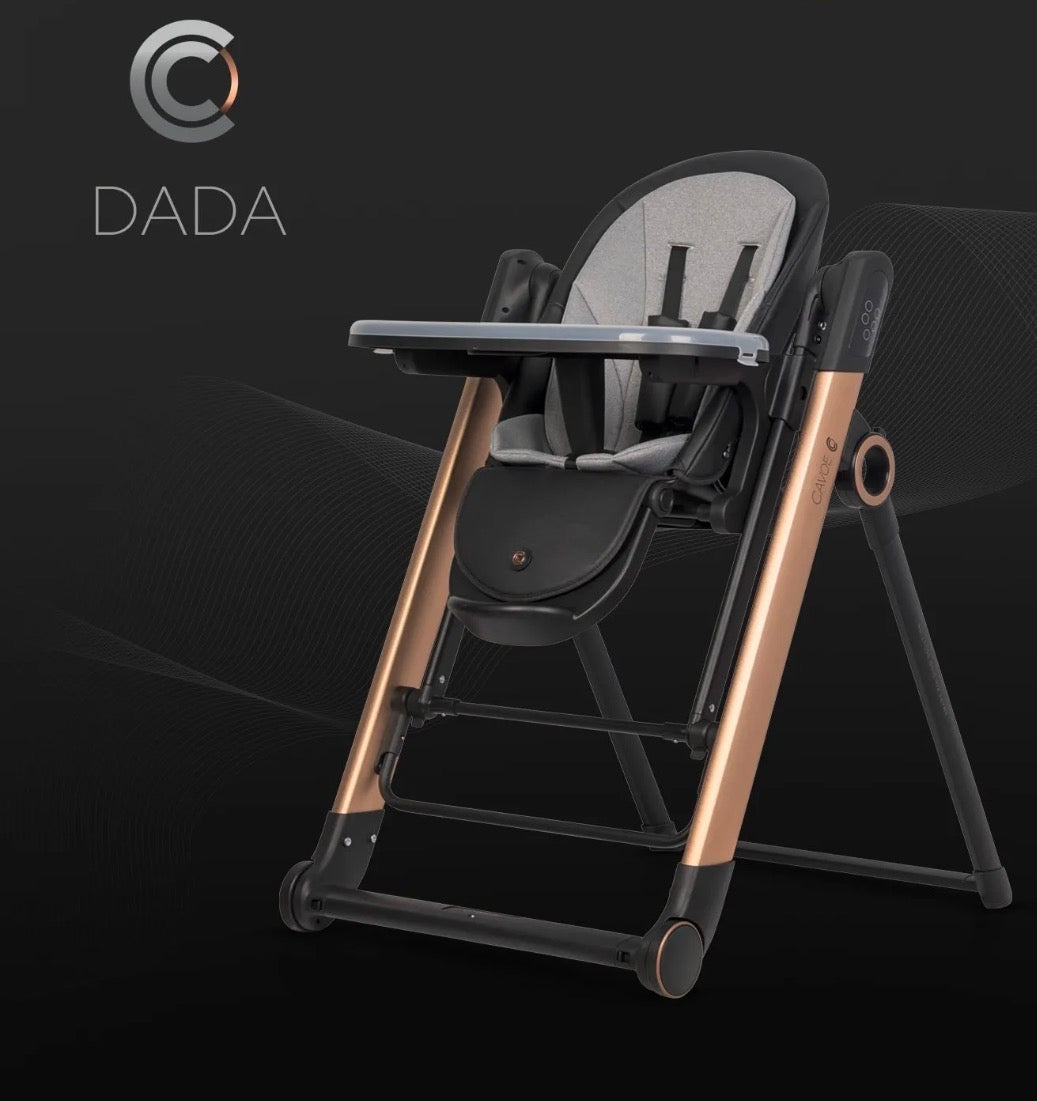 Seggiolone pappa dada2 in 1 elettrico cavoe